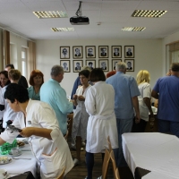 galeria